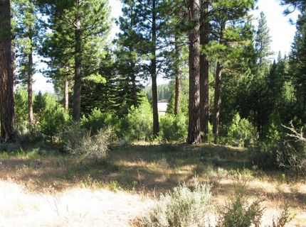 180 Saddle Ridge Road, Clio, CA 96106 Photo