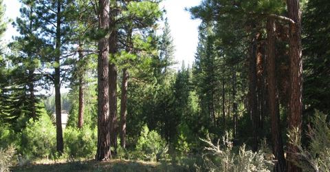 180 Saddle Ridge Road, Clio, CA 96106 Photo