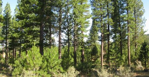 180 Saddle Ridge Road, Clio, CA 96106 Photo