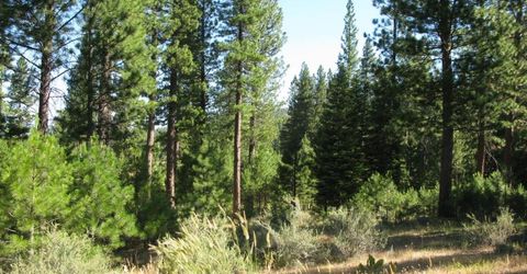 180 Saddle Ridge Road, Clio, CA 96106 Photo