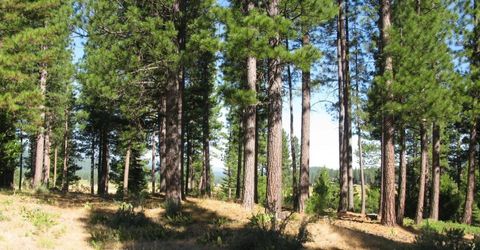 180 Saddle Ridge Road, Clio, CA 96106 Photo