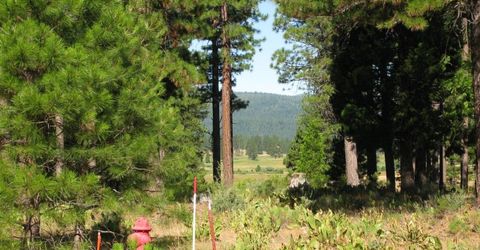 180 Saddle Ridge Road, Clio, CA 96106 Photo