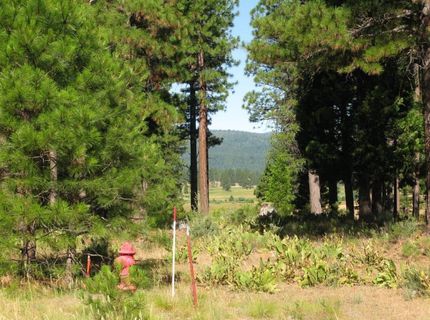 180 Saddle Ridge Road, Clio, CA 96106 Photo