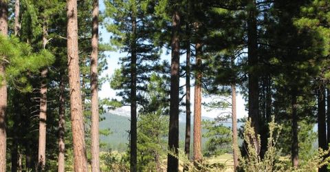 180 Saddle Ridge Road, Clio, CA 96106 Photo