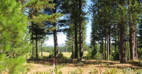 180 Saddle Ridge Road, Clio, CA 96106 Photo