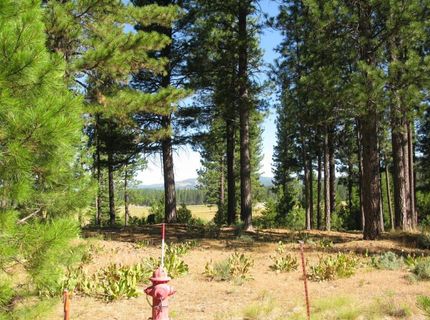 180 Saddle Ridge Road, Clio, CA 96106 Photo