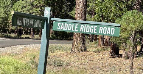 180 Saddle Ridge Road, Clio, CA 96106 Photo