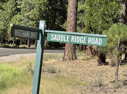 180 Saddle Ridge Road, Clio, CA 96106 Photo