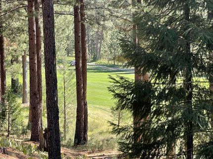 180 Saddle Ridge Road, Clio, CA 96106 Photo