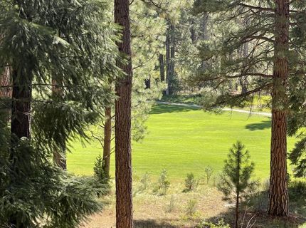 180 Saddle Ridge Road, Clio, CA 96106 Photo