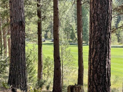 180 Saddle Ridge Road, Clio, CA 96106 Photo