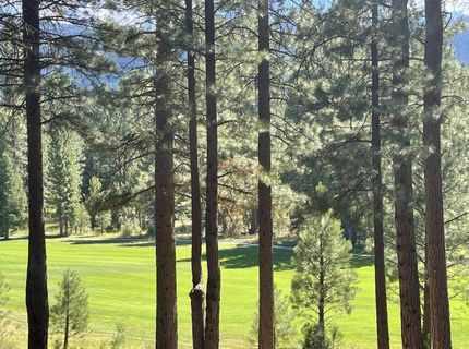 180 Saddle Ridge Road, Clio, CA 96106 Photo