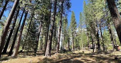 180 Saddle Ridge Road, Clio, CA 96106 Photo