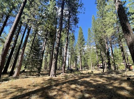 180 Saddle Ridge Road, Clio, CA 96106 Photo