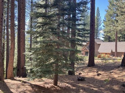 180 Saddle Ridge Road, Clio, CA 96106 Photo