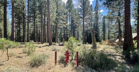 180 Saddle Ridge Road, Clio, CA 96106 Photo