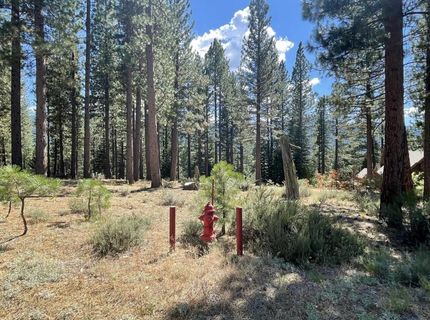 180 Saddle Ridge Road, Clio, CA 96106 Photo