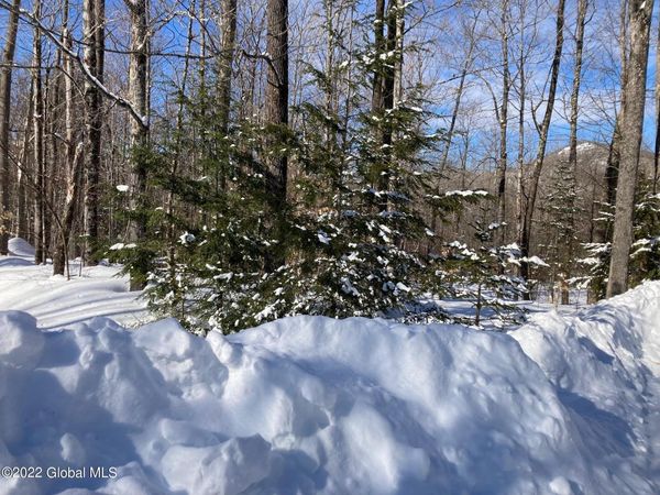 L4618114 Ruby Mountain View Drive, North River, NY 12843