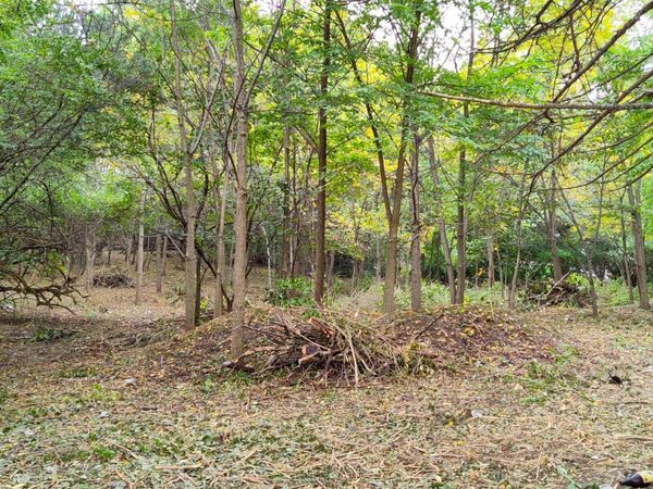 11 Rohrssen Lot 4 Road, Elgin, IL 60120