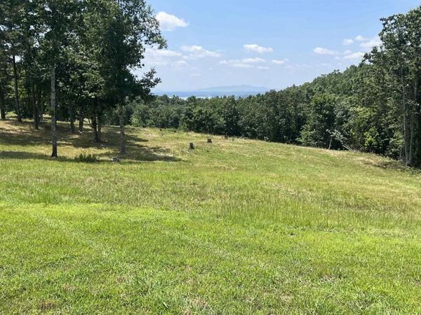 Lot 52 County Road 767, Unit Lot #52, Cedar Bluff, AL 35959