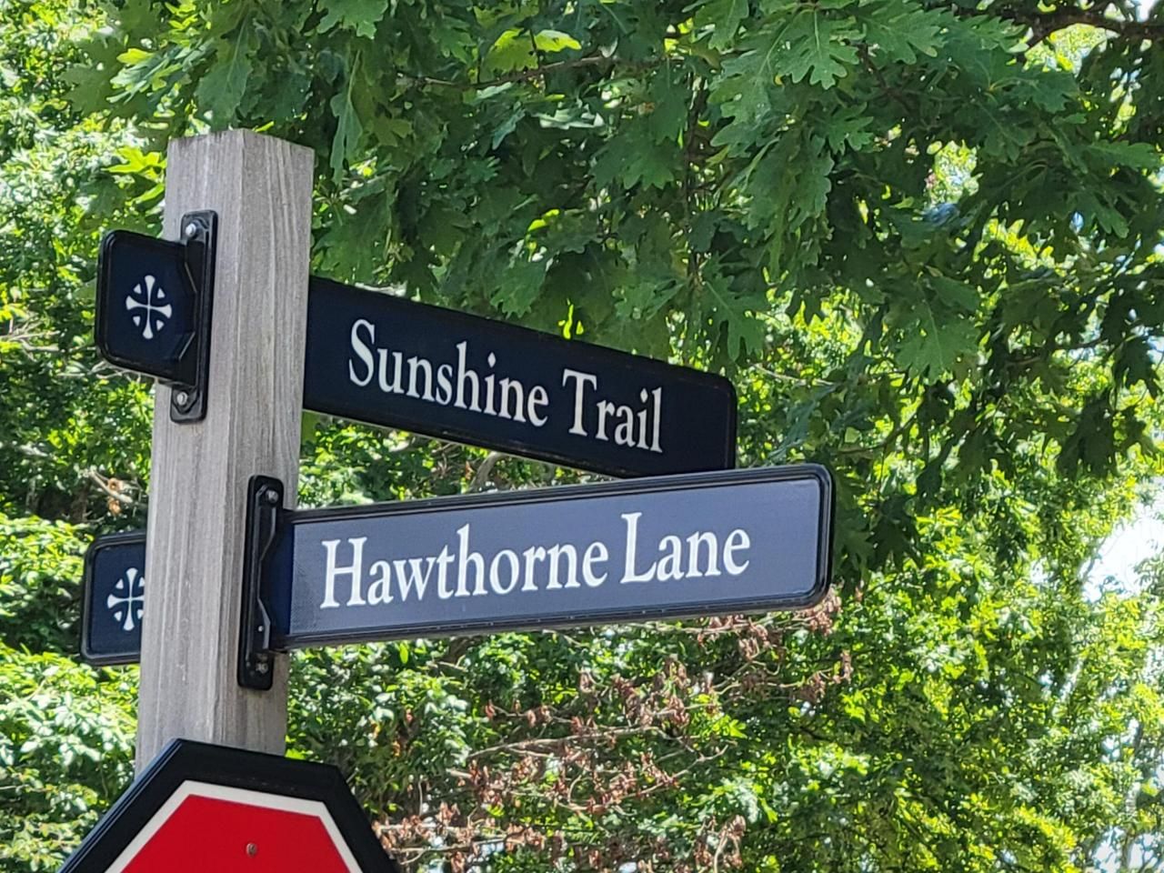 0 Sunshine Trail, Rising Fawn, GA 30738 Main Photo