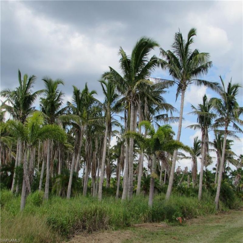 14900 Stringfellow Rd, Bokeelia, FL 33922 Photo