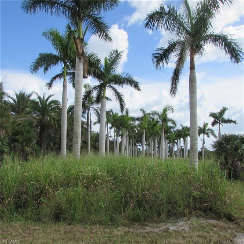 14900 Stringfellow Rd, Bokeelia, FL 33922 Photo