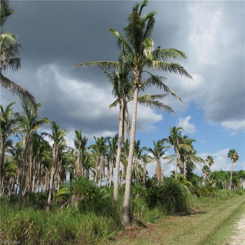 14900 Stringfellow Rd, Bokeelia, FL 33922 Photo