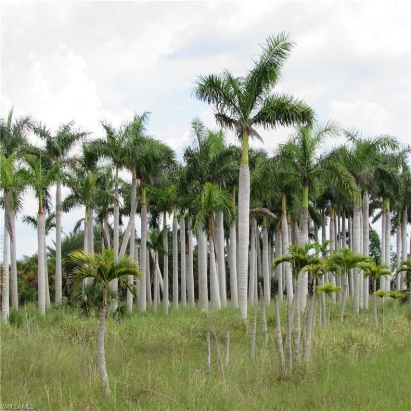 14900 Stringfellow Rd, Bokeelia, FL 33922 Photo