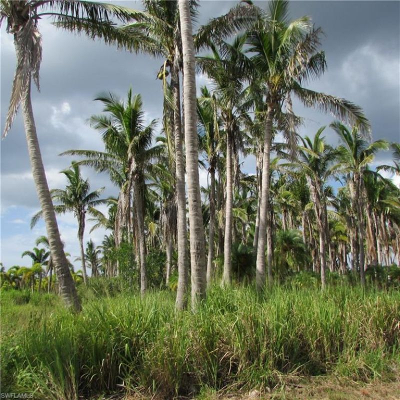 14900 Stringfellow Rd, Bokeelia, FL 33922 Photo