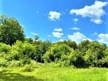 01 Overswamp Road, Saint Johnsville, NY 13452