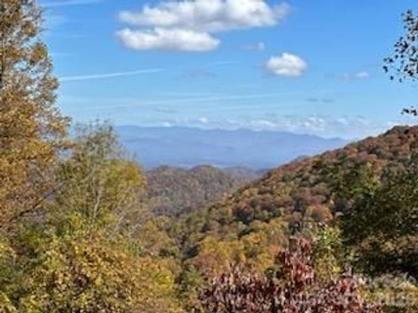 580 Freemont Drive, Leicester, NC 28748
