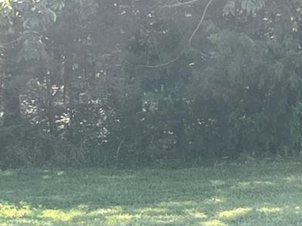 1007 Pleasant Grove Pl, Mount Juliet, TN 37122