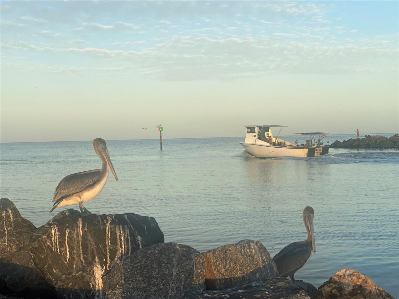 796 Bird Bay Way, Unit Bld 30, Venice, FL 34285 Photo