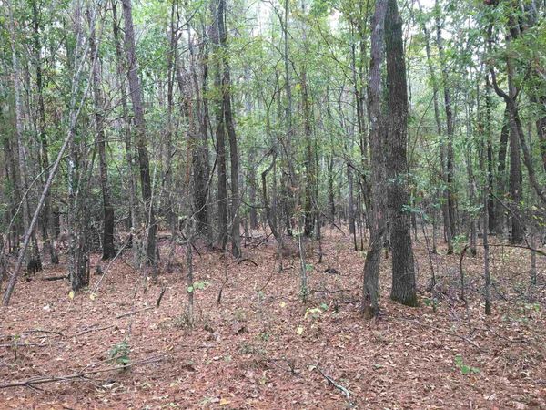 40 Acres Sulphur Springs Rd, Pine Bluff, AR 71603