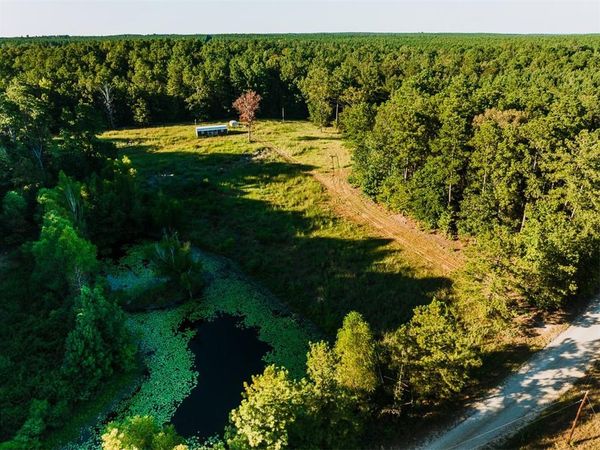 141 BUFORD LASHLEY Road, Atlanta, LA 71404