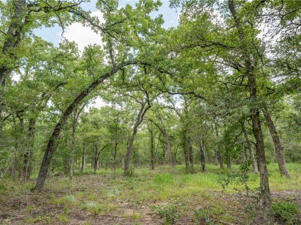 418-C County Road 405, Buckholts, TX 76518