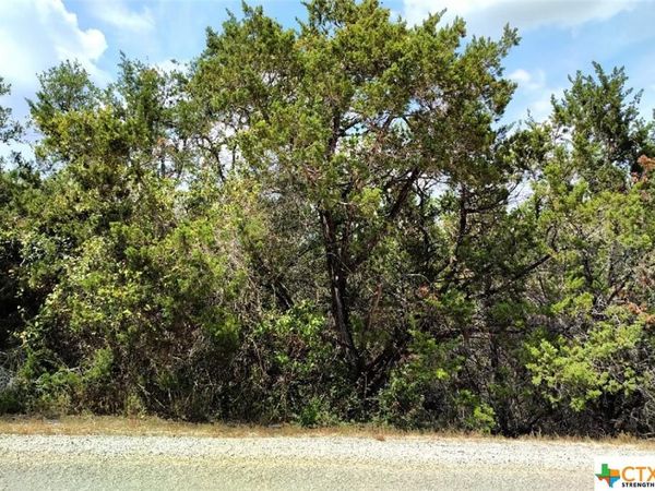 1146 ZANE GREY Lane, Spring Branch, TX 78070