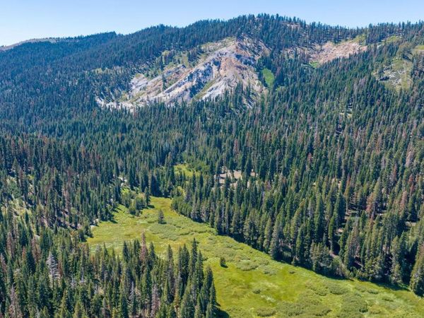 14500 Sloat McRae Road, Johnsville, CA 96103