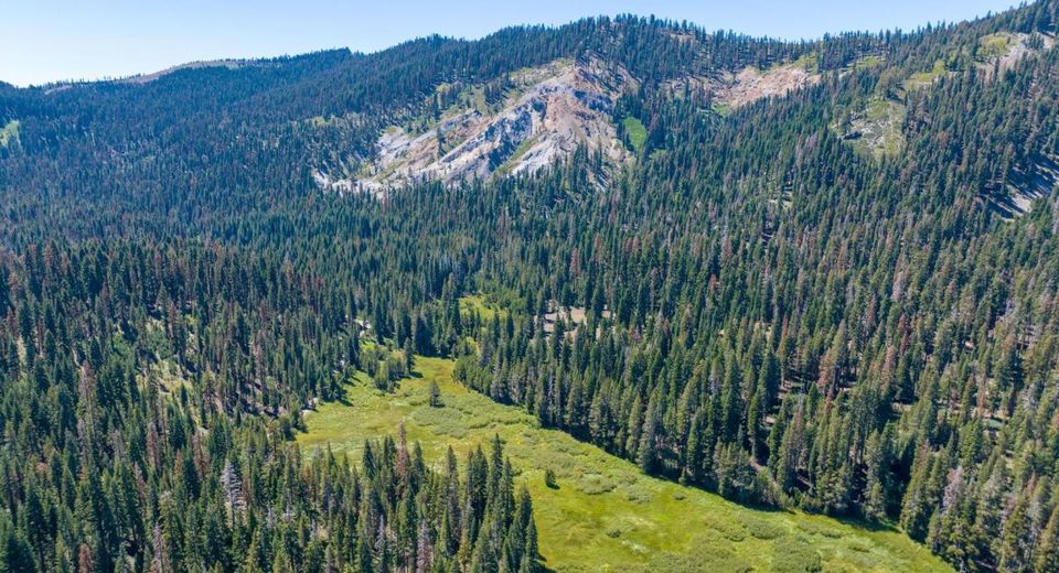 14500 Sloat Mcrae Road, Johnsville, CA 96103 Photo