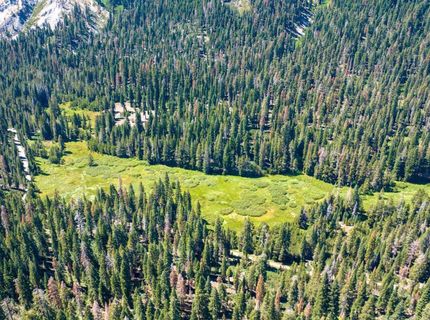 14500 Sloat Mcrae Road, Johnsville, CA 96103 Photo