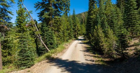 14500 Sloat Mcrae Road, Johnsville, CA 96103 Photo