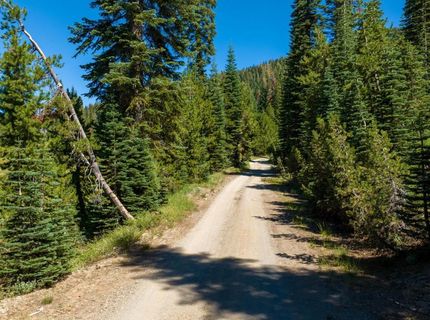 14500 Sloat Mcrae Road, Johnsville, CA 96103 Photo