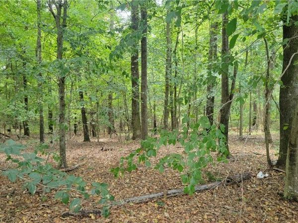 2825 Stardust Drive, Tuscaloosa, AL 35405