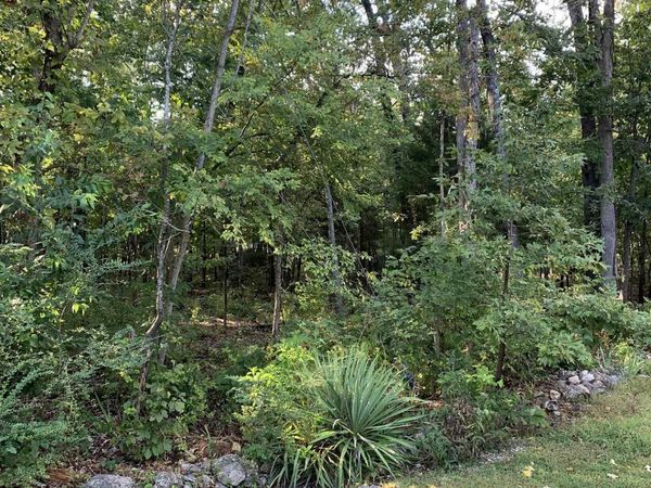 Pt 25 & 26 White River Court, Bull Shoals, AR 72687