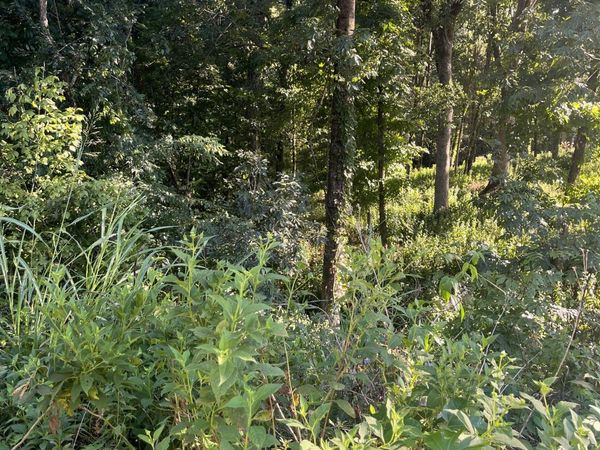 1930 Arlington Rd, Lebanon, TN 37087