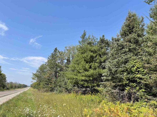 80 Acres Off M94, Rock River Twp, MI 49885