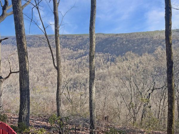 0 Summit Way, Jasper, TN 37347