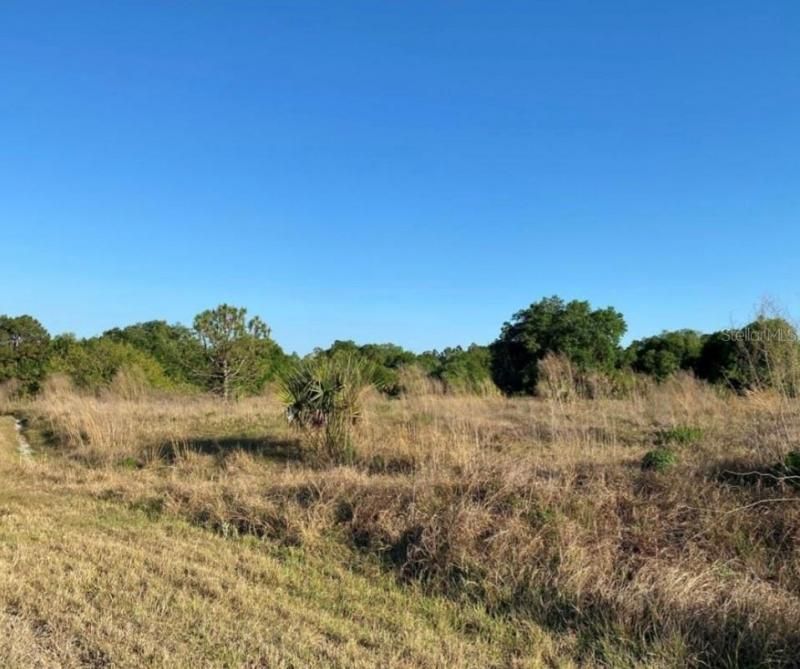 Grover Circle, North Port, FL 34288 Photo