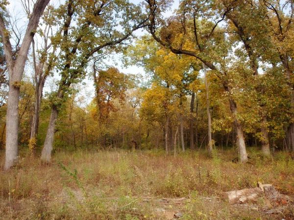 3865-lot 86 166th Lane, Lowell, IN 46356